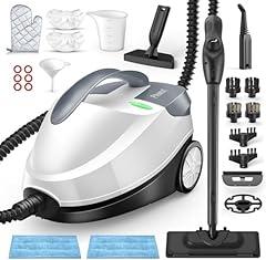 Phueut 1800W Multipurpose Steam Cleaner