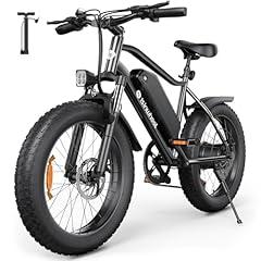 Isinwheel M10 Pro Electric Fat Tire Bike