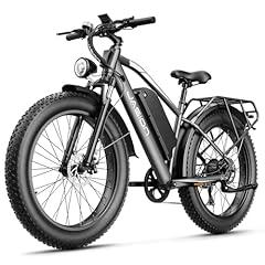 Jasion EB5 MAX Electric Mountain Bike