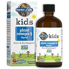 Garden of Life Kids Omega-3 Liquid Supplement