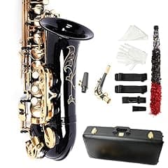 Ktaxon Alto Saxophone Beginner Kit with Case