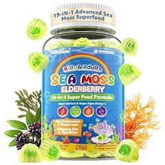 EnvyCure Sea Moss & Elderberry Gummies