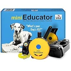 Educator ET-300 Mini Remote Trainer Collar