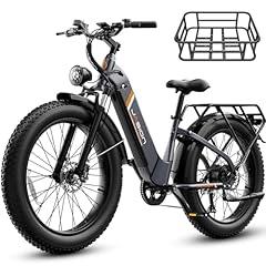 Jasion Thunder Electric Bike