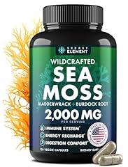 Sea Moss Advanced with Burdock Root & Bladderwrack