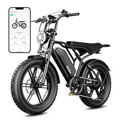 TST 1500W Electric Bike with Fat Tires