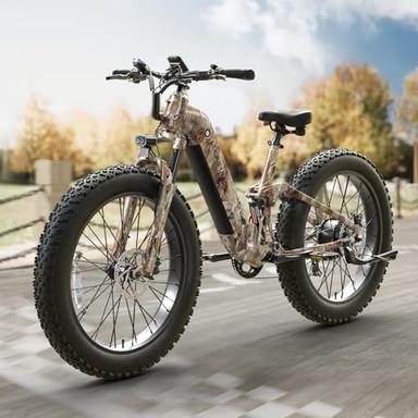 adult electric bicycle