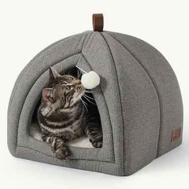 cat cave