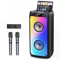 HWWR Karaoke Machine with Wireless Microphones