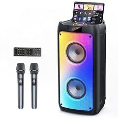 HWWR Karaoke Machine with Wireless Microphones