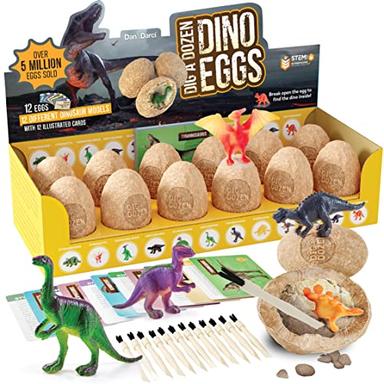 Educational Science Kits 