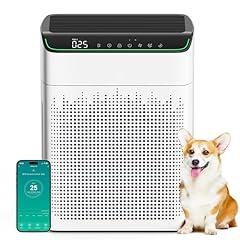 Morento Air Purifier with HEPA Filters