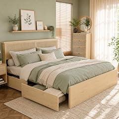 Yechen Queen Bed with Rattan Headboard