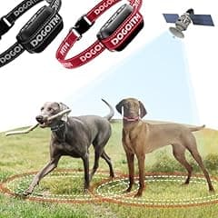 DogoItm Wireless Dog Fence for 2 Dogs