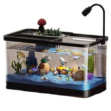 betta fish kit