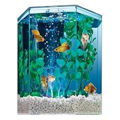 Tetra LED Hexagon Aquarium Kit 1 Gallon