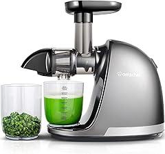 AMZCHEF Slow Cold Press Juicer