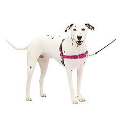 PetSafe Easy Walk No-Pull Dog Harness