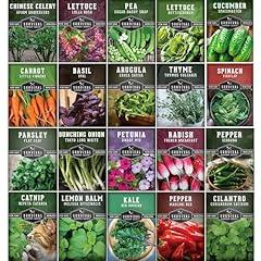 Indoor Hydroponic Vegetable Garden Kit