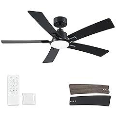 Realmate 52 Inch Ceiling Fan with Lights