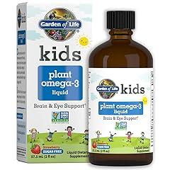 Garden of Life Kids Omega-3 Liquid Supplement