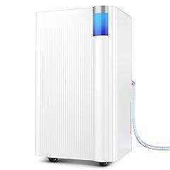 Cagstul 2500 Sq.Ft Dehumidifier