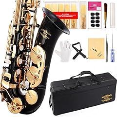 Glory Black Lacquer E Flat Alto Saxophone