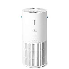 Airthereal 2-in-1 Air Purifier and Humidifier AEH300