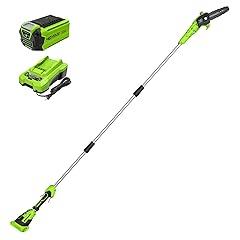 Greenworks 40V Cordless Polesaw PS40B210