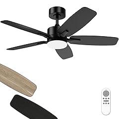 Hisummer 42 Inch Ceiling Fan with Light