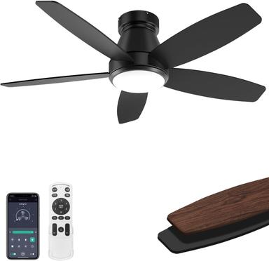 ceiling fan