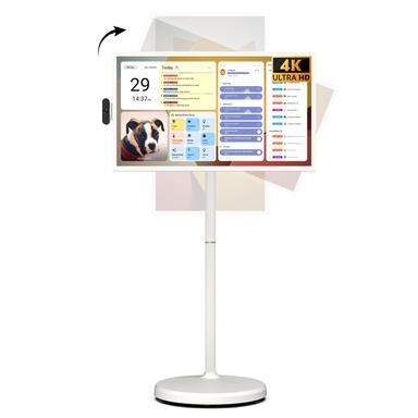 smart television
