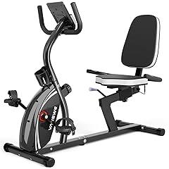 VANSWE Recumbent Exercise Bike RB661