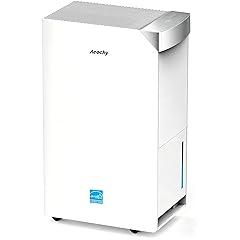 Energy Star Dehumidifier 2024