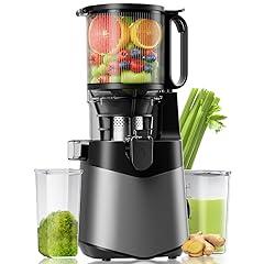 LUIXXN Cold Press Juicer 350W
