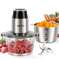 Ganiza Electric Food Processor with Grinder