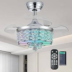 Zynfandor 30" RGB Ceiling Fan with LED Light
