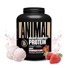 Animal Whey Isolate Protein Powder Strawberry