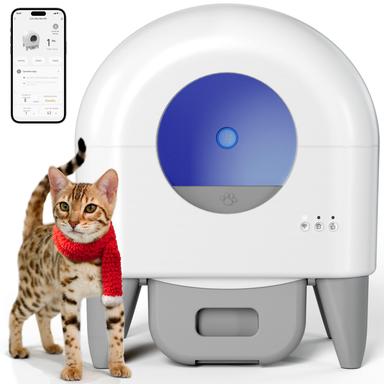 automatic cat box