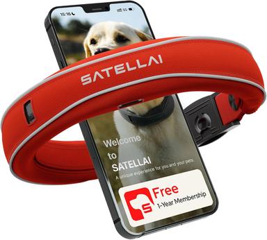 Gps dog fence