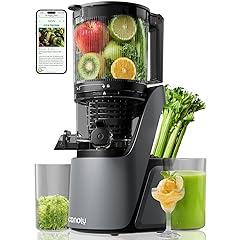Canoly Cold Press Juicer Space Gray