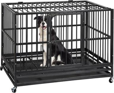 dog crates for large dogs