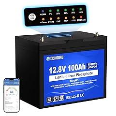 DC HOUSE LiFePO4 12V 100AH Battery