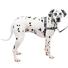 PetSafe Easy Walk Deluxe Dog Harness