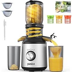 Ganiza Cold Press Slow Juicer