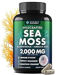 Sea Moss Advanced with Burdock Root & Bladderwrack