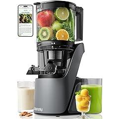 Canoly Cold Press Juicer Space Gray