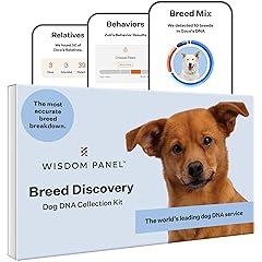 Wisdom Health Breed Discovery Dog DNA Kit