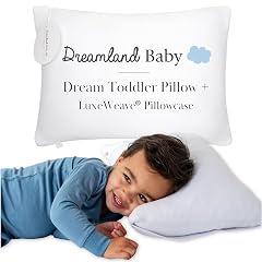 Dreamland Baby Toddler Pillow with Pillowcase