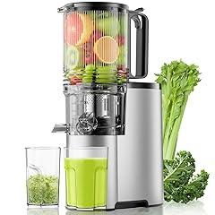 EanOruus Cold Press Juicer 400W